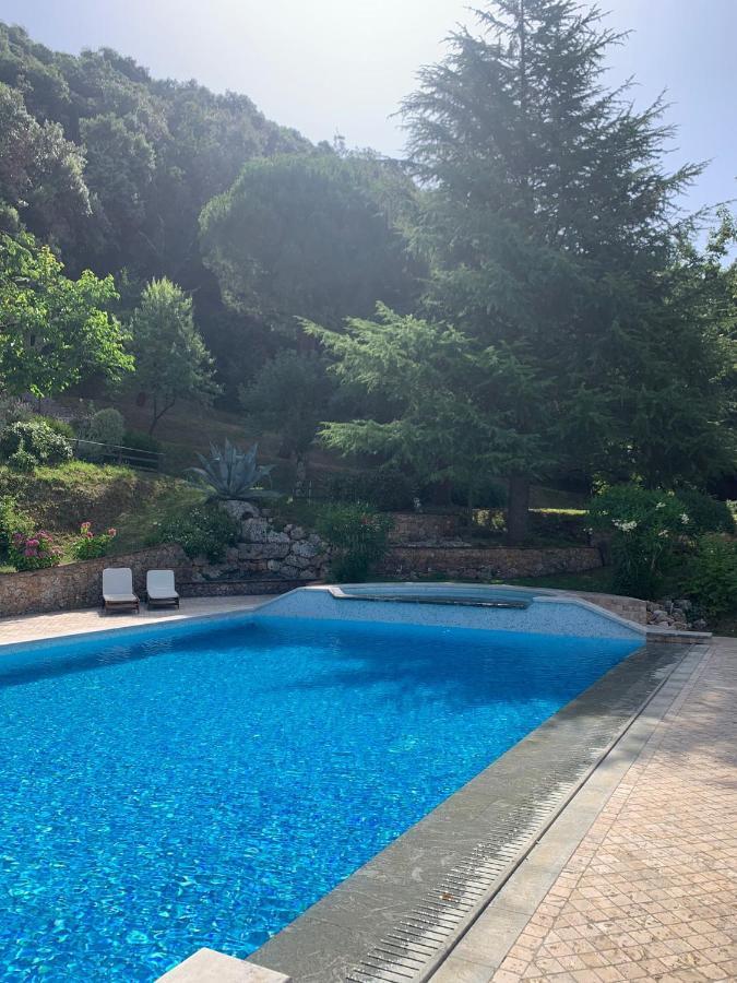 פיאטרה סנטה La Terrazza Sulla Versilia מראה חיצוני תמונה