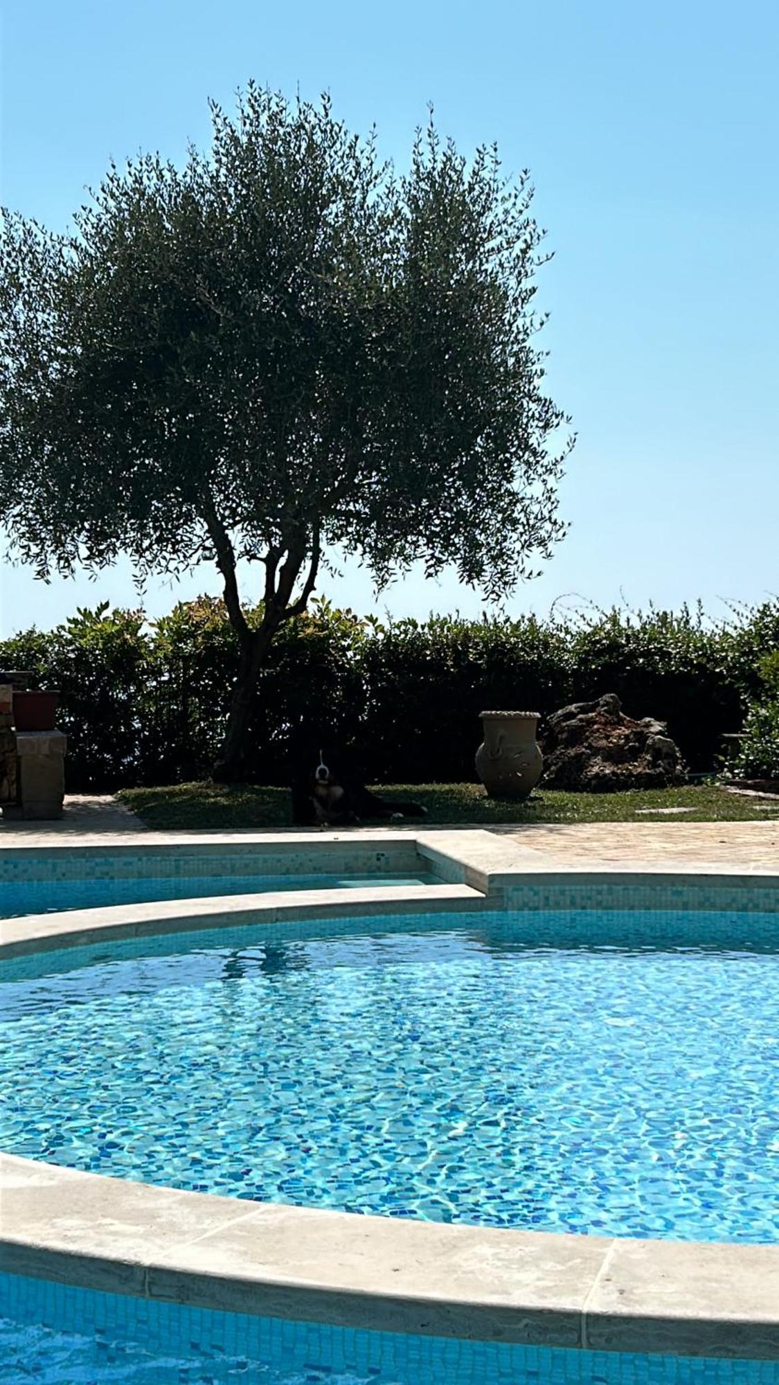 פיאטרה סנטה La Terrazza Sulla Versilia מראה חיצוני תמונה